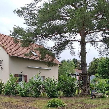 Proche Chateaux Et Zoo De Beauval: Gite De Sologne Pruniers 외부 사진