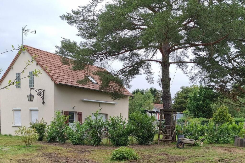 Proche Chateaux Et Zoo De Beauval: Gite De Sologne Pruniers 외부 사진